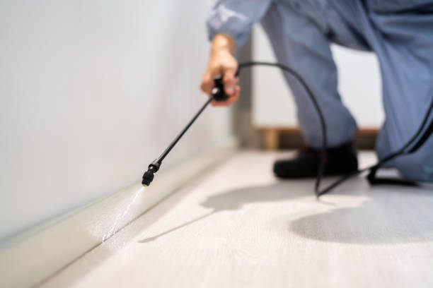 Licensed Pest Control service in Fowler, MI - Show Me Pest Control